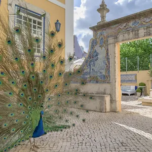 Solar Do Castelo - Heritage Collection - Alfama Отель Лиссабон